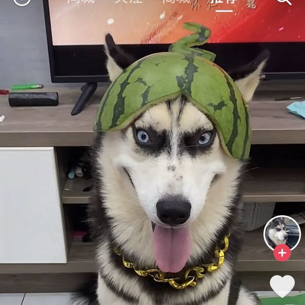 跑断腿